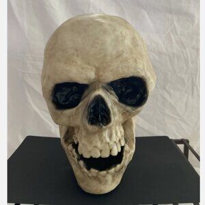 Home Accents Holiday Animated LED Talking Skull Halloween 11” X 14” X 8” 2 LBS